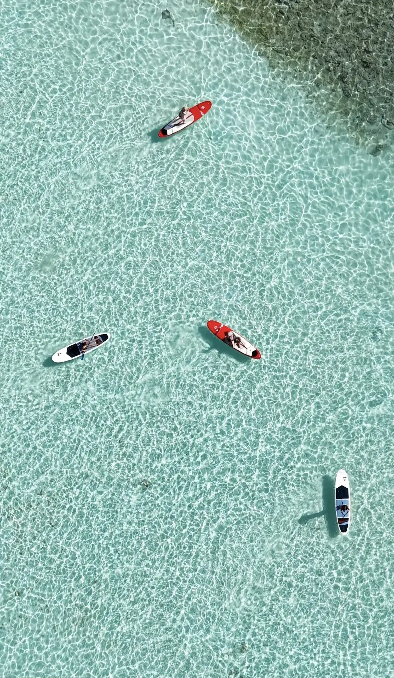 Kayaks and stand-up paddleboards on clear shallow water, from above