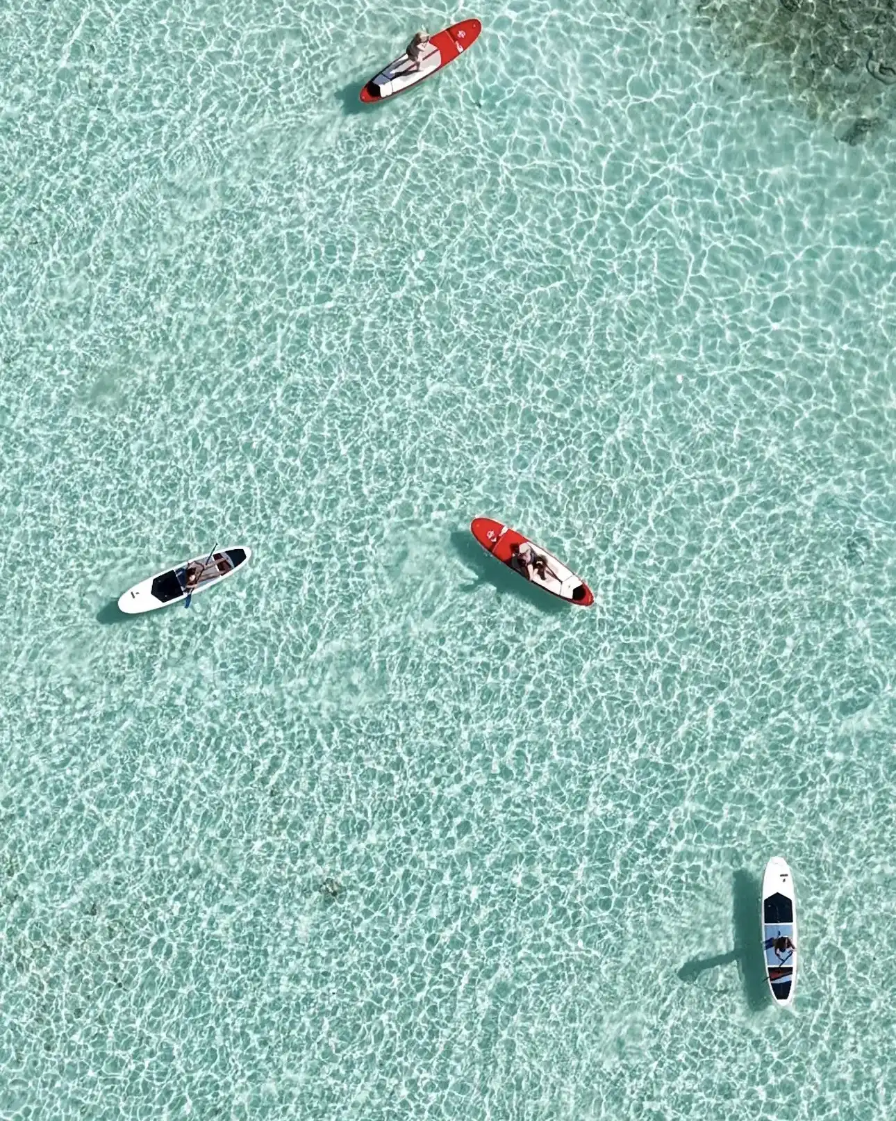 Kayaks and stand-up paddleboards on clear shallow water, from above