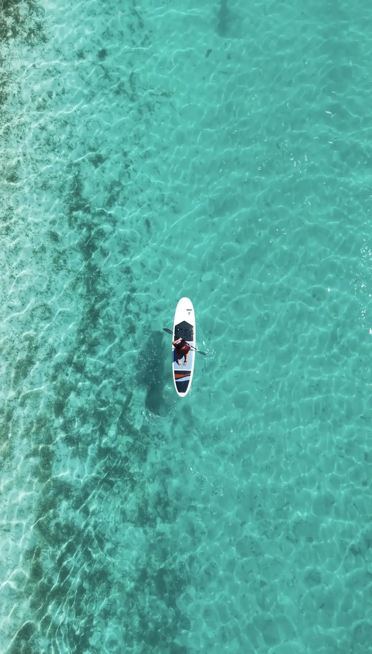 Stand-up paddleboarder on clear shallow water over the reef, from above
