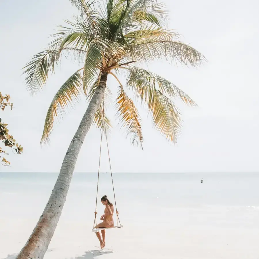 A rope swing hanging from a leaning palm over white sand and calm water
